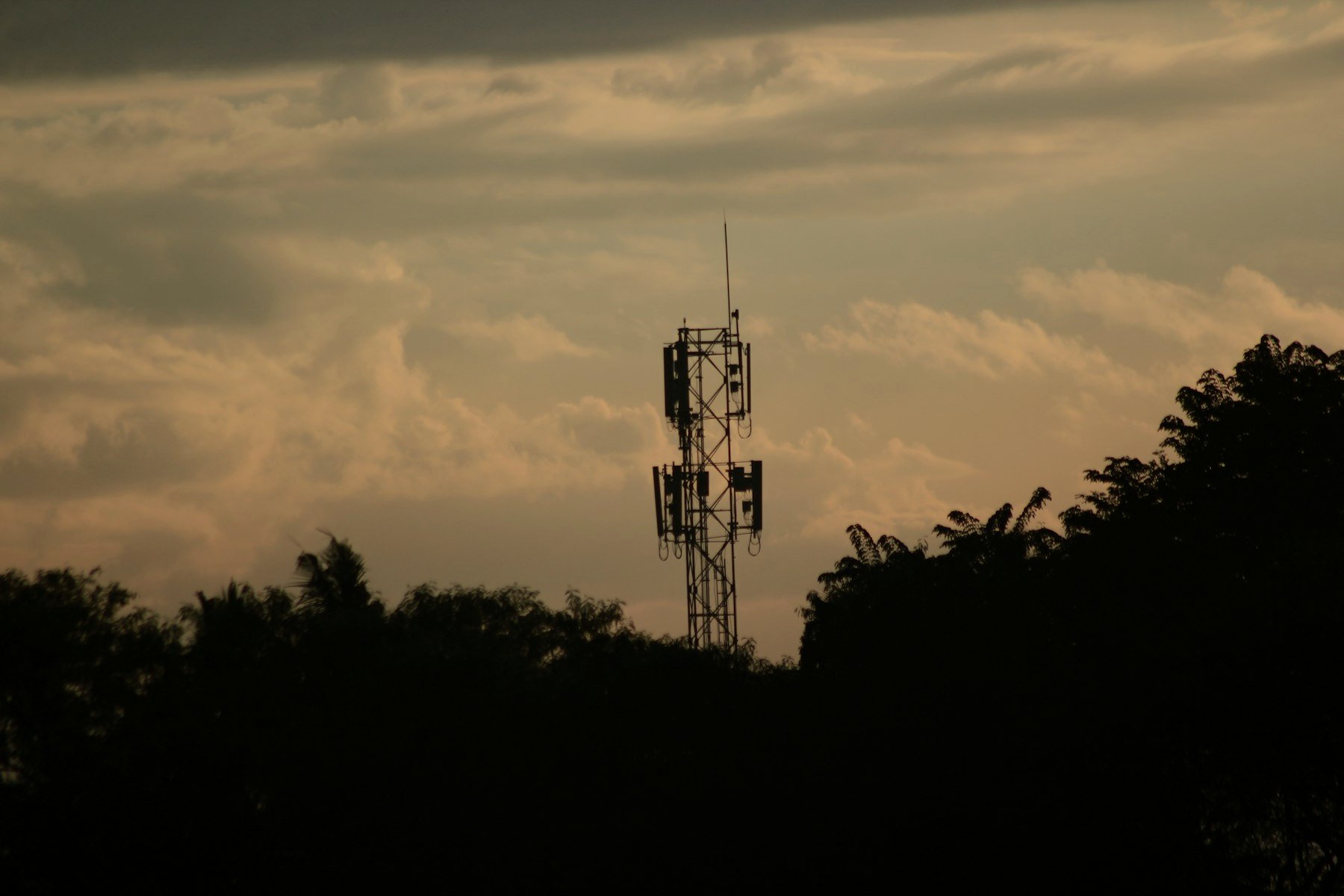 A cell tower against the evening sky